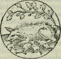 An illustration from Delle imprese trattato (1592)