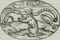An illustration from Delle imprese trattato (1592)