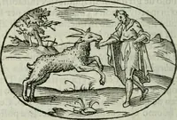 An illustration from Delle imprese trattato (1592)