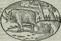 An illustration from Delle imprese trattato (1592)