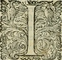 An illustration from Delle imprese trattato (1592)