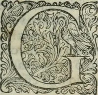 An illustration from Delle imprese trattato (1592)