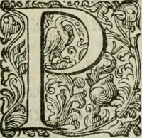 An illustration from Delle imprese trattato (1592)