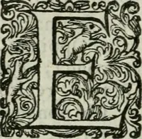 An illustration from Delle imprese trattato (1592)