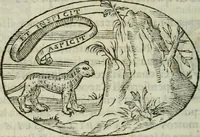 An illustration from Delle imprese trattato (1592)