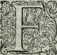 An illustration from Delle imprese trattato (1592)