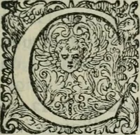 An illustration from Delle imprese trattato (1592)
