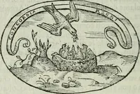 An illustration from Delle imprese trattato (1592)
