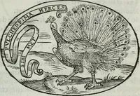 An illustration from Delle imprese trattato (1592)