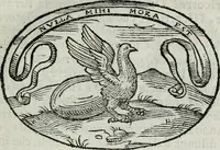 An illustration from Delle imprese trattato (1592)