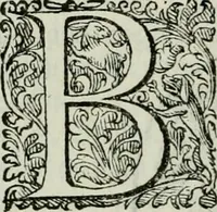 An illustration from Delle imprese trattato (1592)