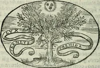 An illustration from Delle imprese trattato (1592)