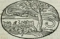 An illustration from Delle imprese trattato (1592)
