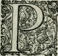 An illustration from Delle imprese trattato (1592)