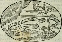 An illustration from Delle imprese trattato (1592)
