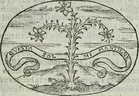 An illustration from Delle imprese trattato (1592)