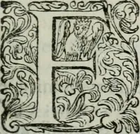 An illustration from Delle imprese trattato (1592)