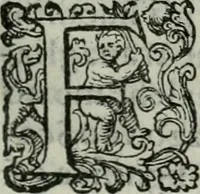 An illustration from Delle imprese trattato (1592)
