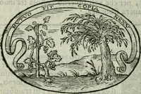 An illustration from Delle imprese trattato (1592)