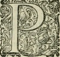 An illustration from Delle imprese trattato (1592)