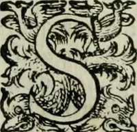 An illustration from Delle imprese trattato (1592)
