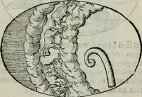 An illustration from Delle imprese trattato (1592)