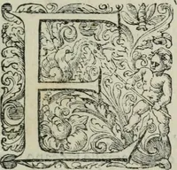 An illustration from Delle imprese trattato (1592)