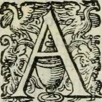 An illustration from Delle imprese trattato (1592)