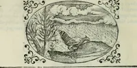 An illustration from Delle imprese trattato (1592)