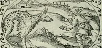 An illustration from Delle imprese trattato (1592)