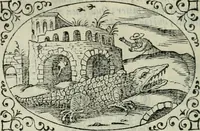 An illustration from Delle imprese trattato (1592)