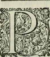 An illustration from Delle imprese trattato (1592)