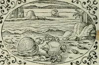 An illustration from Delle imprese trattato (1592)