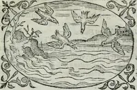 An illustration from Delle imprese trattato (1592)