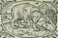 An illustration from Delle imprese trattato (1592)