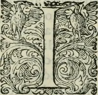 An illustration from Delle imprese trattato (1592)