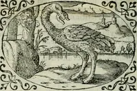 An illustration from Delle imprese trattato (1592)