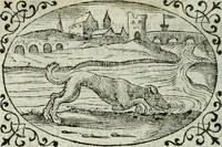 An illustration from Delle imprese trattato (1592)