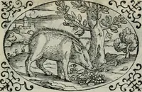 An illustration from Delle imprese trattato (1592)