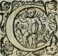 An illustration from Delle imprese trattato (1592)