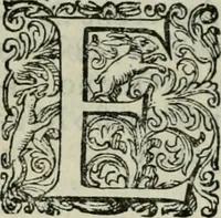 An illustration from Delle imprese trattato (1592)