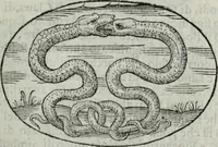 An illustration from Delle imprese trattato (1592)
