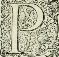 An illustration from Delle imprese, trattato (1592)