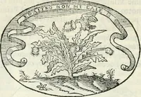 An illustration from Delle imprese, trattato (1592)