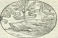 An illustration from Delle imprese, trattato (1592)