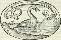 An illustration from Delle imprese, trattato (1592)