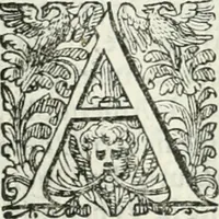 An illustration from Delle imprese, trattato (1592)