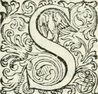 An illustration from Delle imprese, trattato (1592)