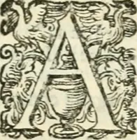 An illustration from Delle imprese, trattato (1592)