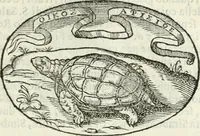 An illustration from Delle imprese, trattato (1592)
